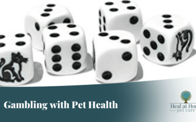 Are You Gambling with your Pet’s Health?