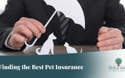 Finding the Best Pet Insurance