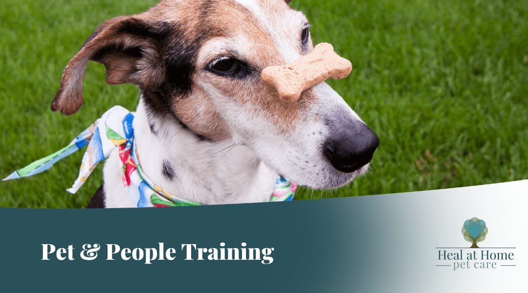 Pet & People Training