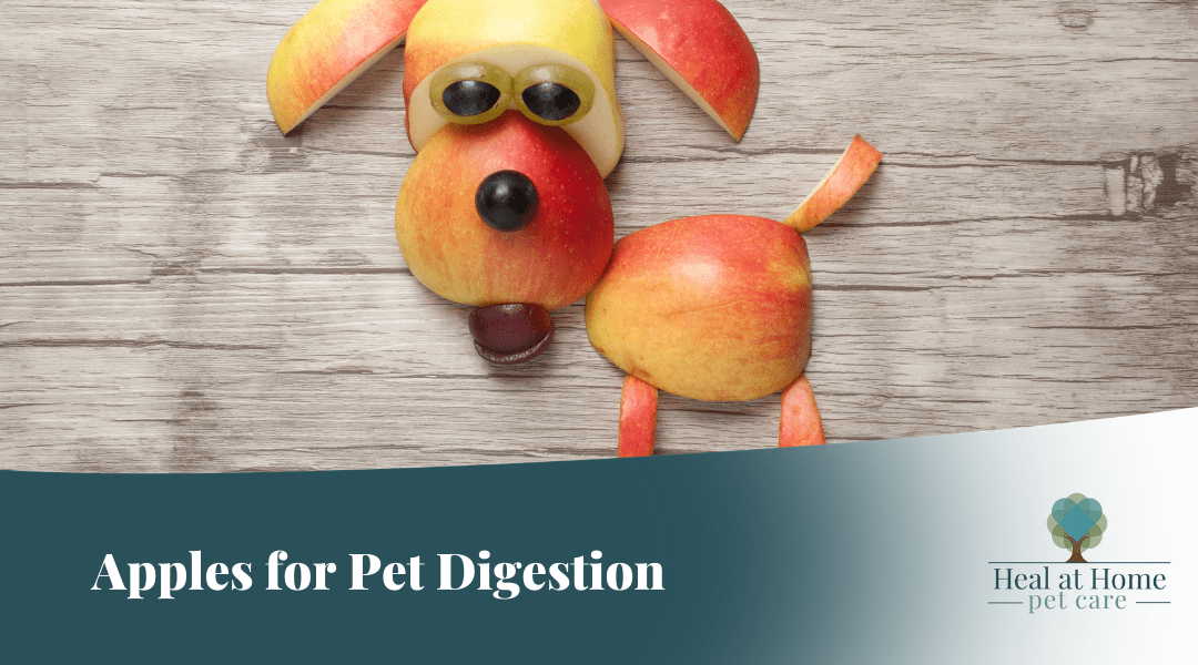 Soothing Pet Tummies with Apples